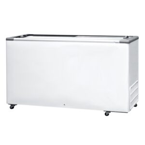 Freezer Conservador Horizontal 503L HCEB-503-2V  Fricon 2 Portas 220V