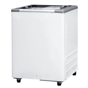 Freezer Conservador Horizontal 142L HCEB-142-1V Fricon 2 Portas 127V