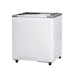 Freezer Conservador Horizontal 216L HCEB-216-2V Fricon 2 Portas 220V